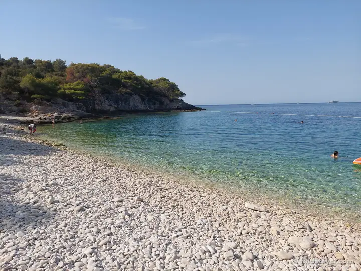 Una spiaggia di ciottoli tra i pini, con acqua calma e limpida.